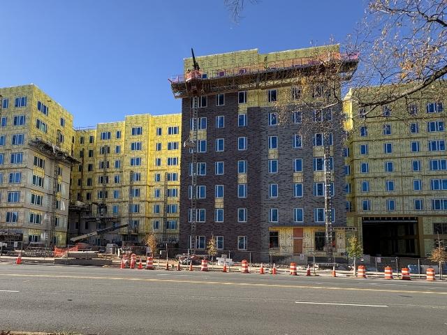 Front view of Indigo