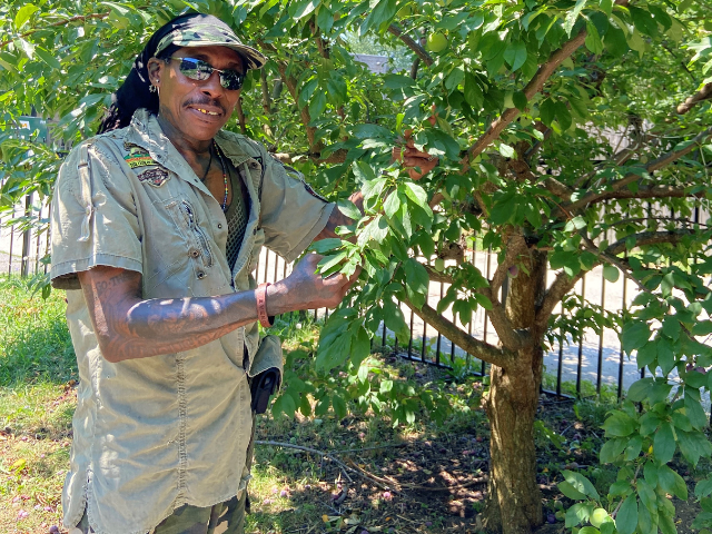Gardener from Wayne Place II