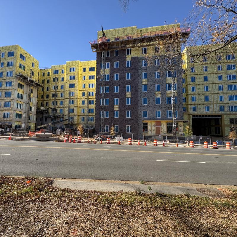 Front view of Indigo