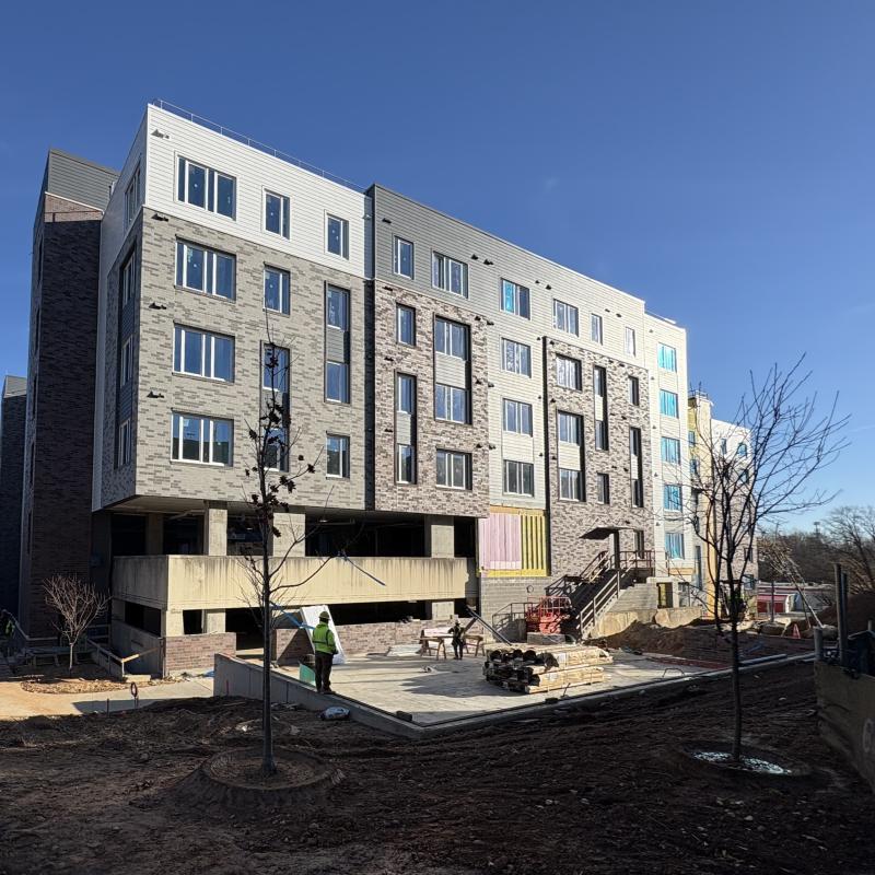 View of Indigo from back of property